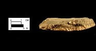 Shepard Sherd cross-section showing paste with quartz and crushed igneous rock temper from the Biggs Ford site 18FR14/152.